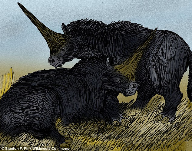 Siberian Rhinoceros - copyright - Stanton F. Fink Wikimedia Commons