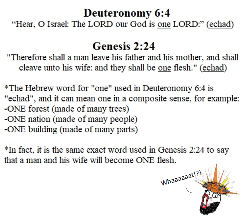 The LORD our God is one (echad) LORD - Deuteronomy 6:4 | man and wife become one (echad) flesh - Genesis 2:24.