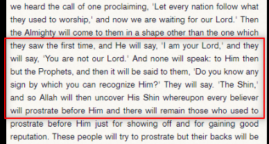 Allah reveals his shin, and the Muslims will recognize it, from Sahih al-Bukhari 7439